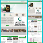 Organization Website